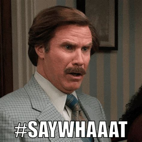 anchorman gifs